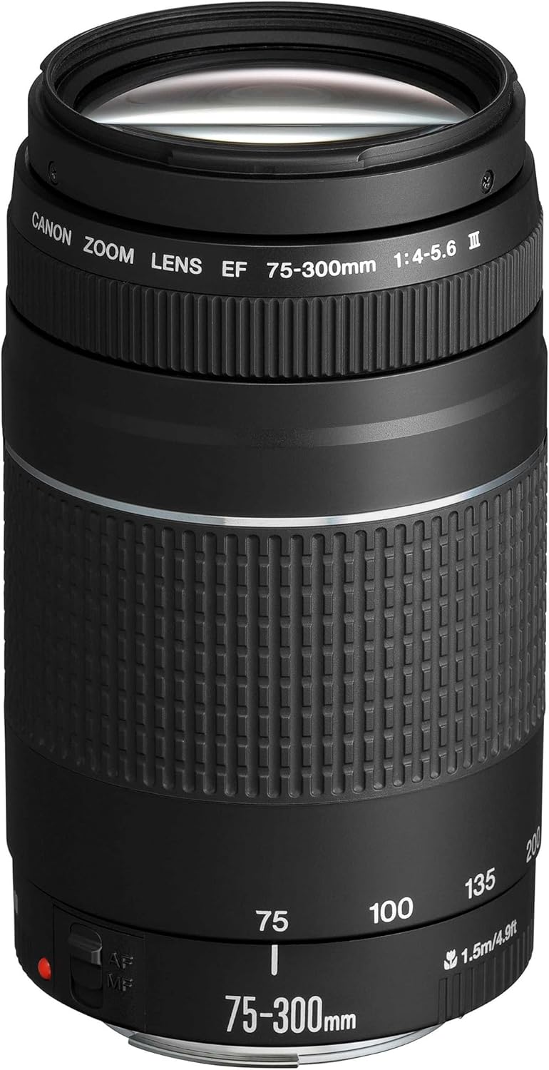 Objectifs Canon | 300 mm, Noir – EF 75- f/4.0-5.6 III Objectif [Ancien Modèle]